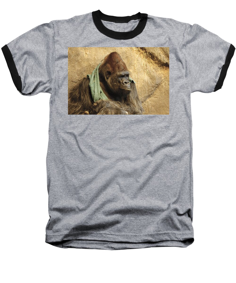 Gorilla Baseball T-Shirt featuring the photograph Gorilla by Steve McKinzie
