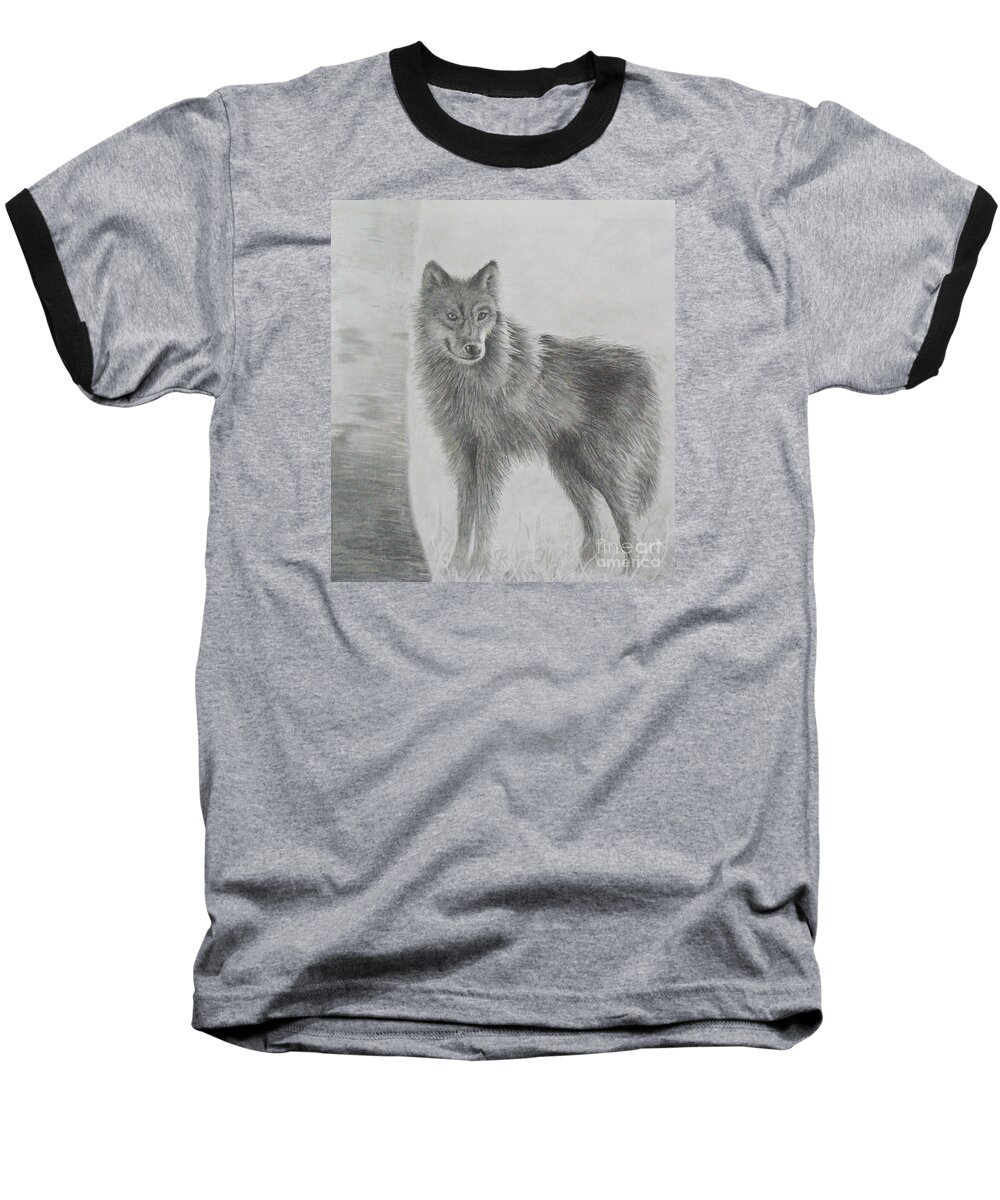 Wolf Baseball T-Shirt featuring the drawing Gray Wolf by Phyllis Howard