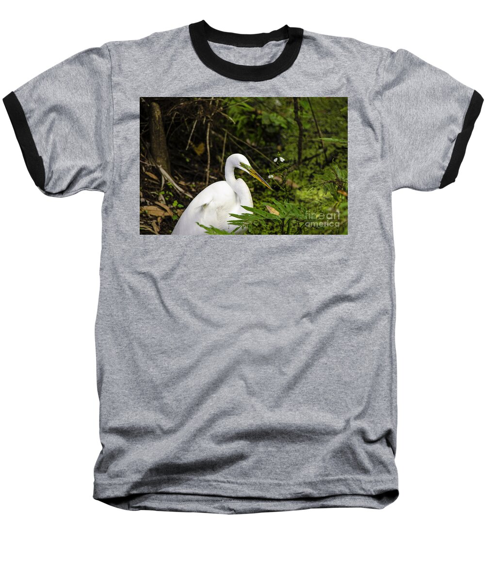 Animal Baseball T-Shirt featuring the photograph Great Blue Heron - White by Mary Carol Story