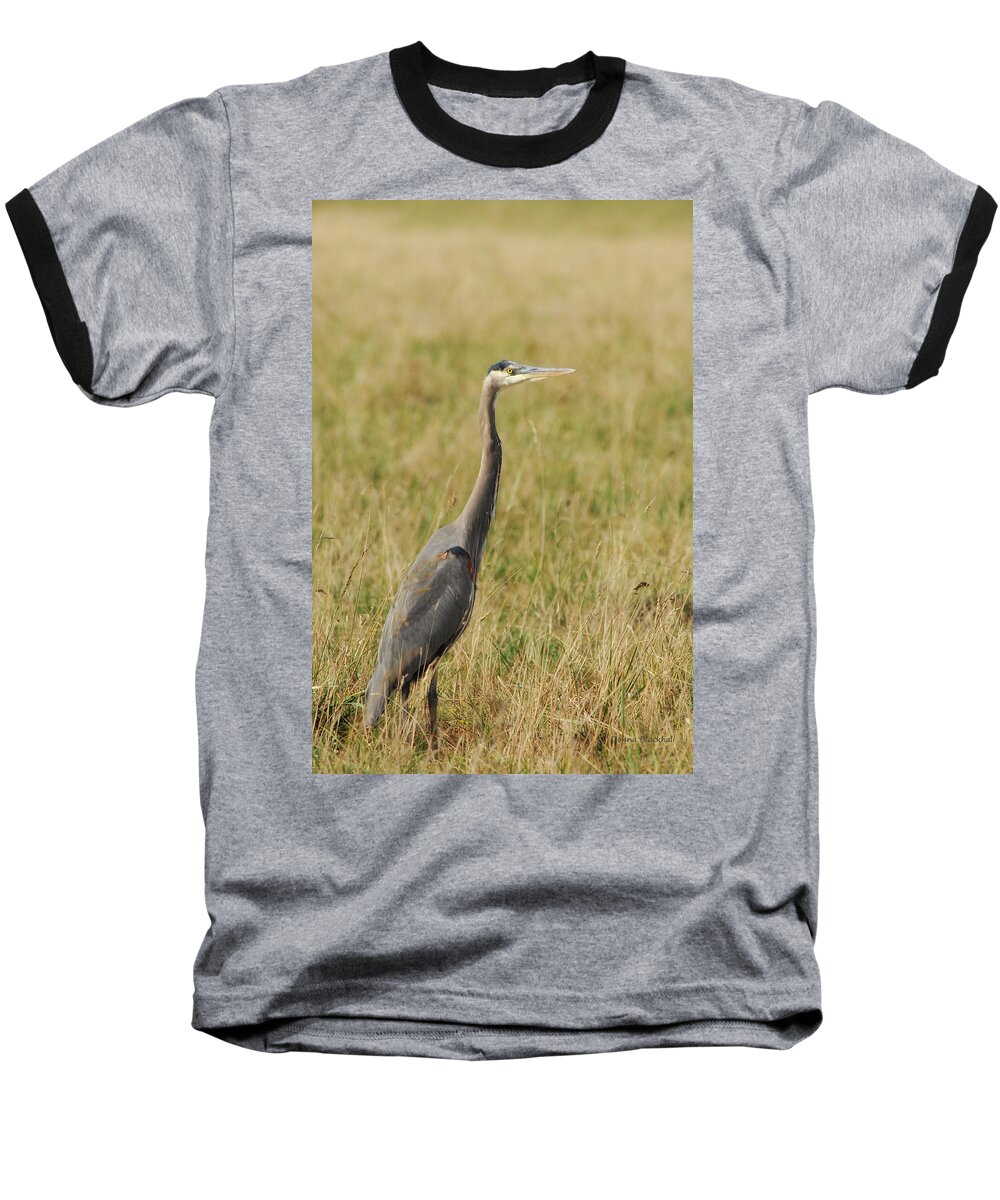 Great Blue Heron Baseball T-Shirt featuring the photograph Great Blue Heron by Donna Blackhall