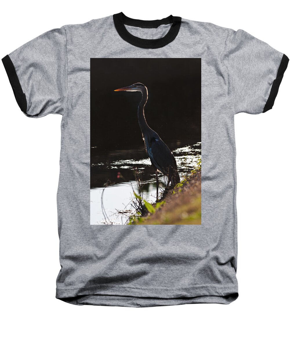Ardea Herodias Baseball T-Shirt featuring the photograph Great Blue Heron by Ed Gleichman