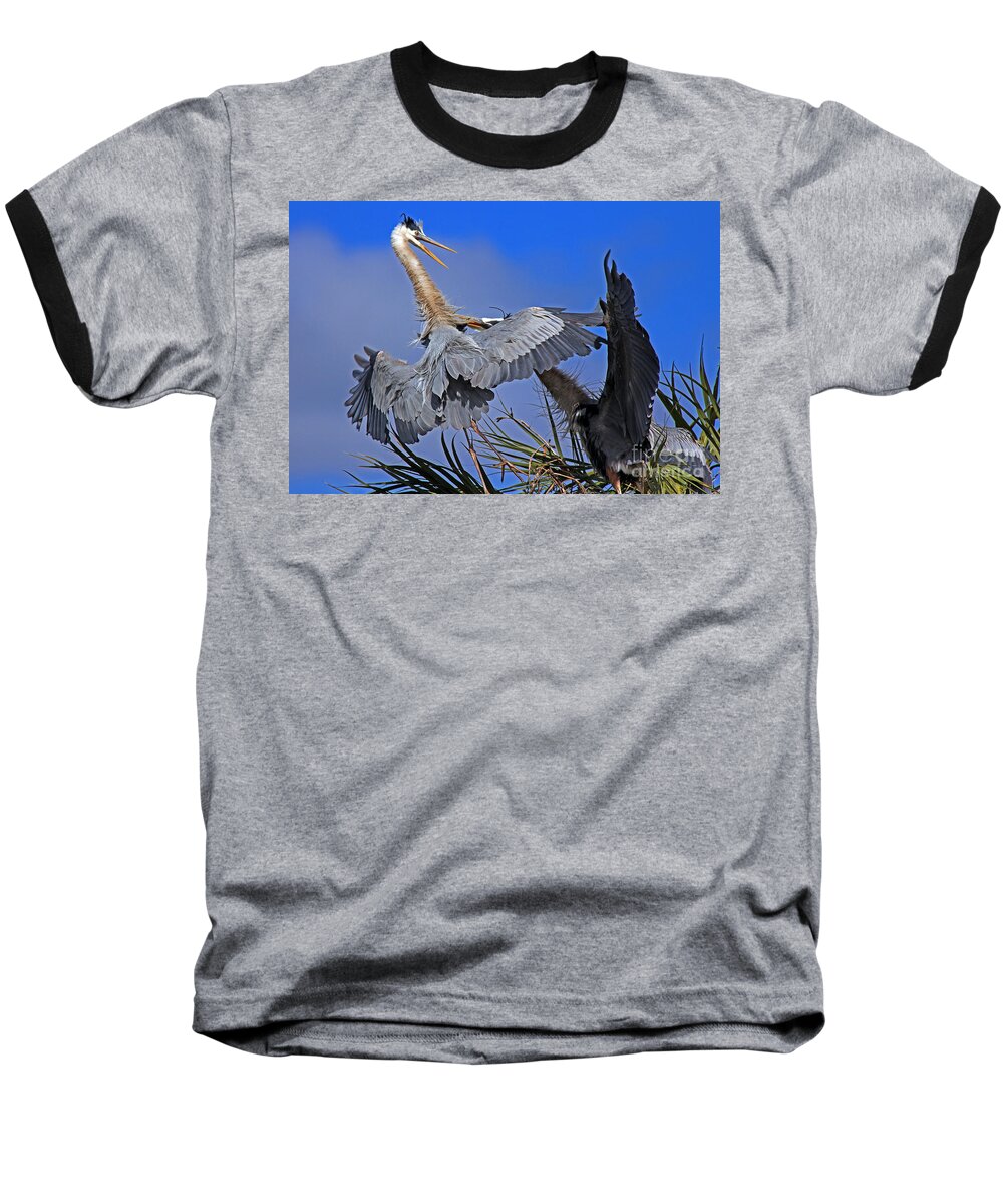 Great Blue Heron Baseball T-Shirt featuring the photograph Great Blue Heron fight by Larry Nieland