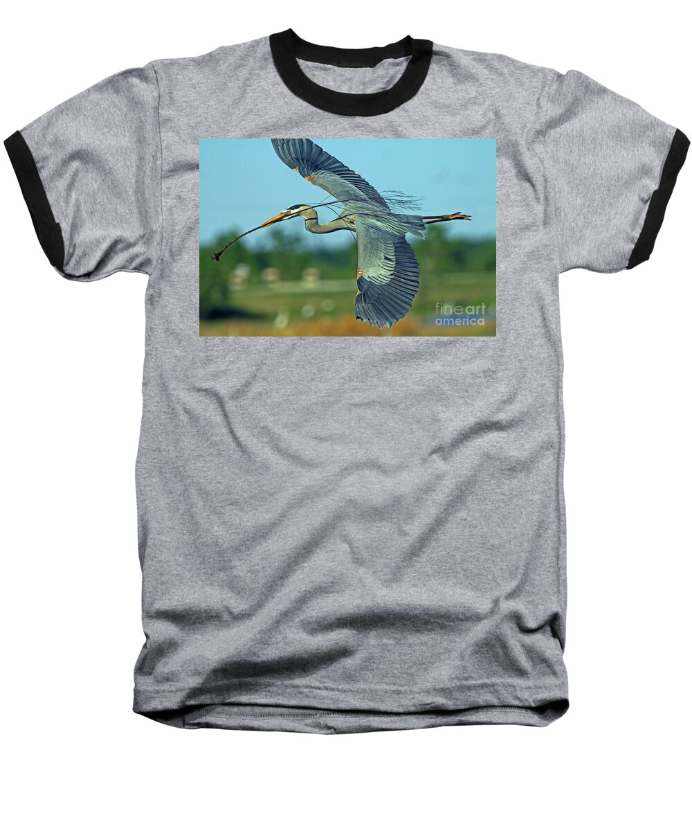 Great Blue Heron Baseball T-Shirt featuring the photograph Great Blue Heron Flight 2 by Larry Nieland