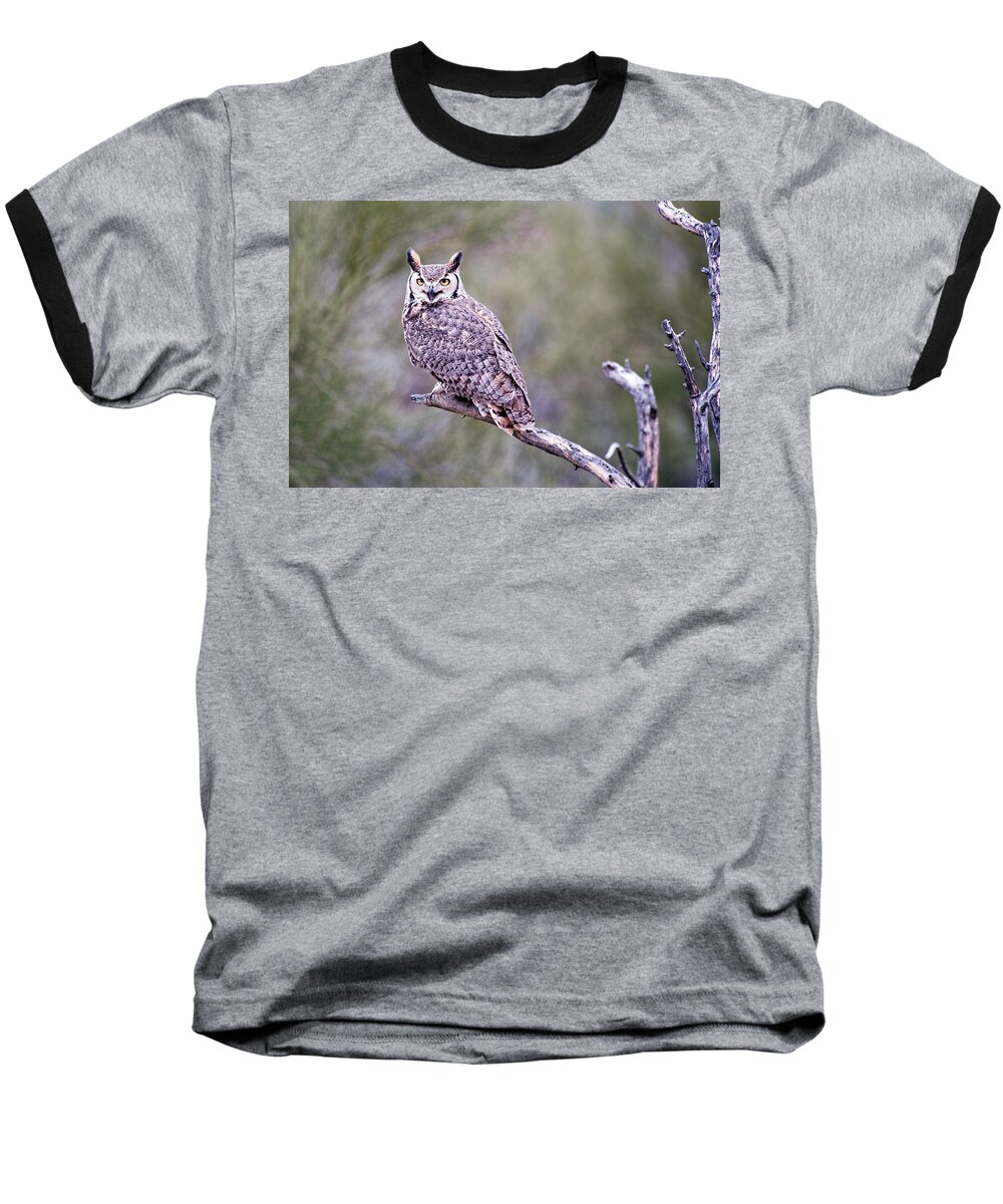 Arizona Baseball T-Shirt featuring the photograph Great Horned Owl by Dan McManus