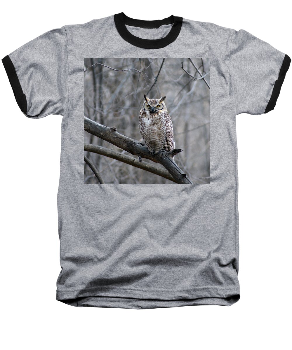 Birds Baseball T-Shirt featuring the digital art Great Horned Owl by Ernest Echols
