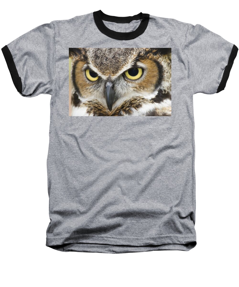 Great Horned Owls Baseball T-Shirt featuring the photograph Great Horned Owl by Jill Lang