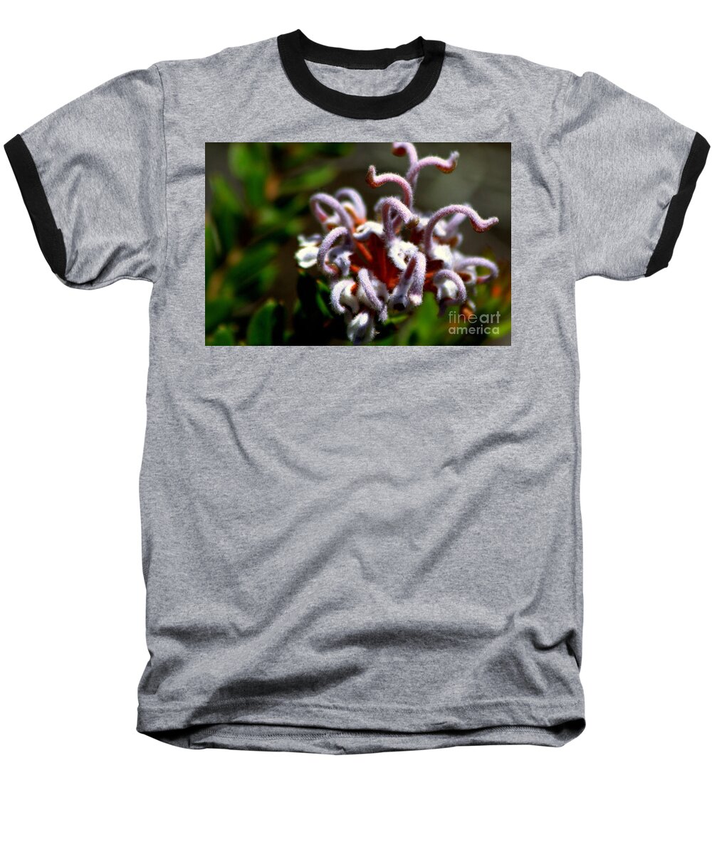 #great Spider Flower Baseball T-Shirt featuring the photograph Great spider flower by Miroslava Jurcik