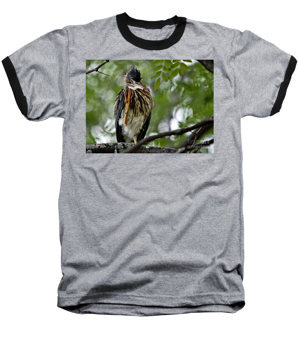Green Heron Baseball T-Shirt featuring the photograph Green Heron Waves Hello by Cheryl Baxter