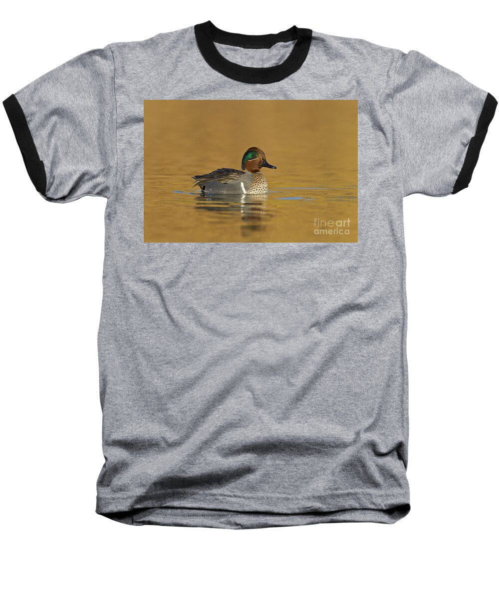 Green Wing Teal Baseball T-Shirt featuring the photograph Green wing teal by Bryan Keil