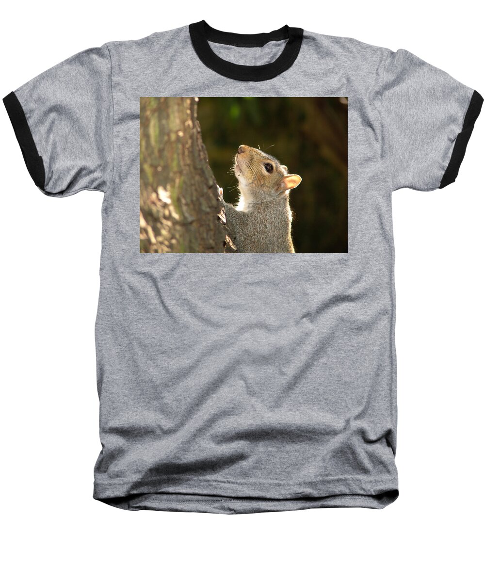 Squirrel Baseball T-Shirt featuring the digital art Grey squirrel by Ron Harpham