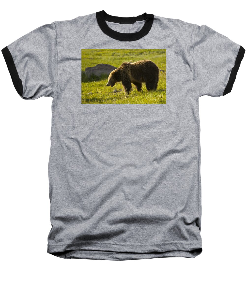 Bear Baseball T-Shirt featuring the photograph Grizzly Bear-Signed-#4535 by J L Woody Wooden
