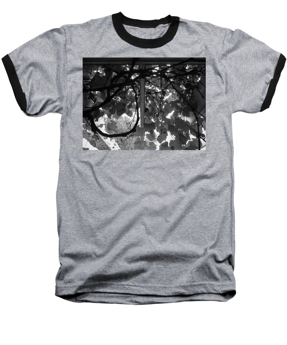 Skompski Baseball T-Shirt featuring the photograph Gropius Vine - Black and White by Joseph Skompski