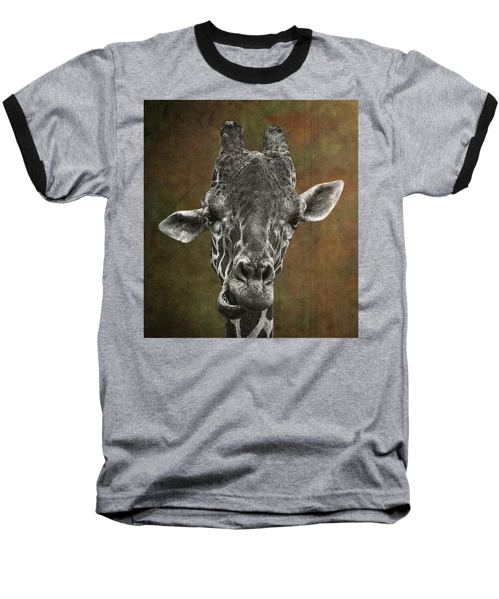 Giraffe Baseball T-Shirt featuring the photograph Grungy Giraffe 5654 brown by Rudy Umans