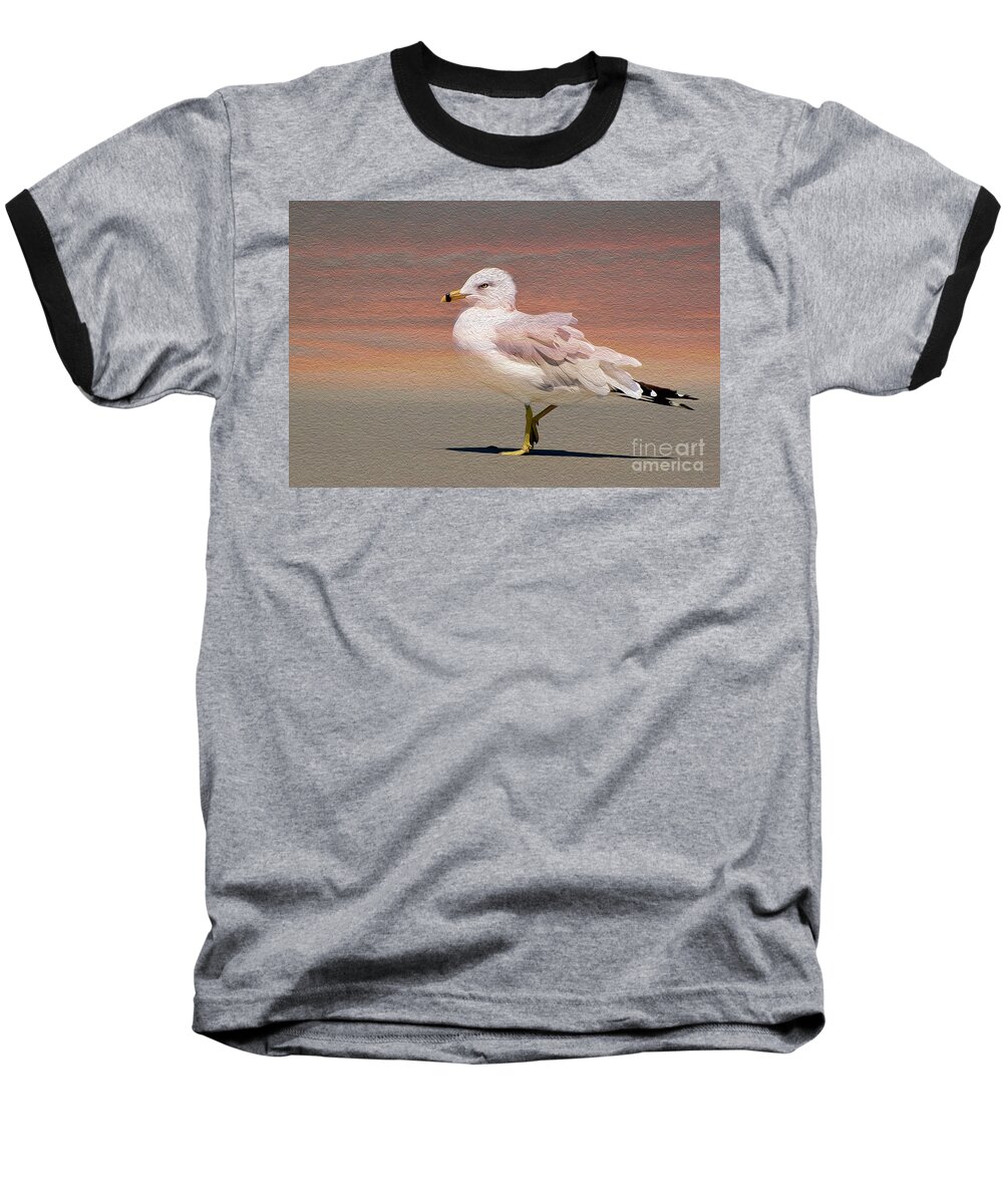 Birds Baseball T-Shirt featuring the photograph Gull OnThe Beach by Kathy Baccari
