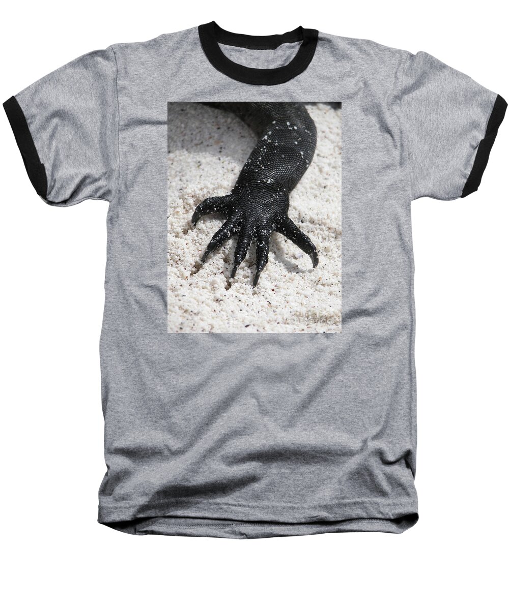 Marine Iguana Baseball T-Shirt featuring the photograph Hand of a Marine Iguana by Liz Leyden