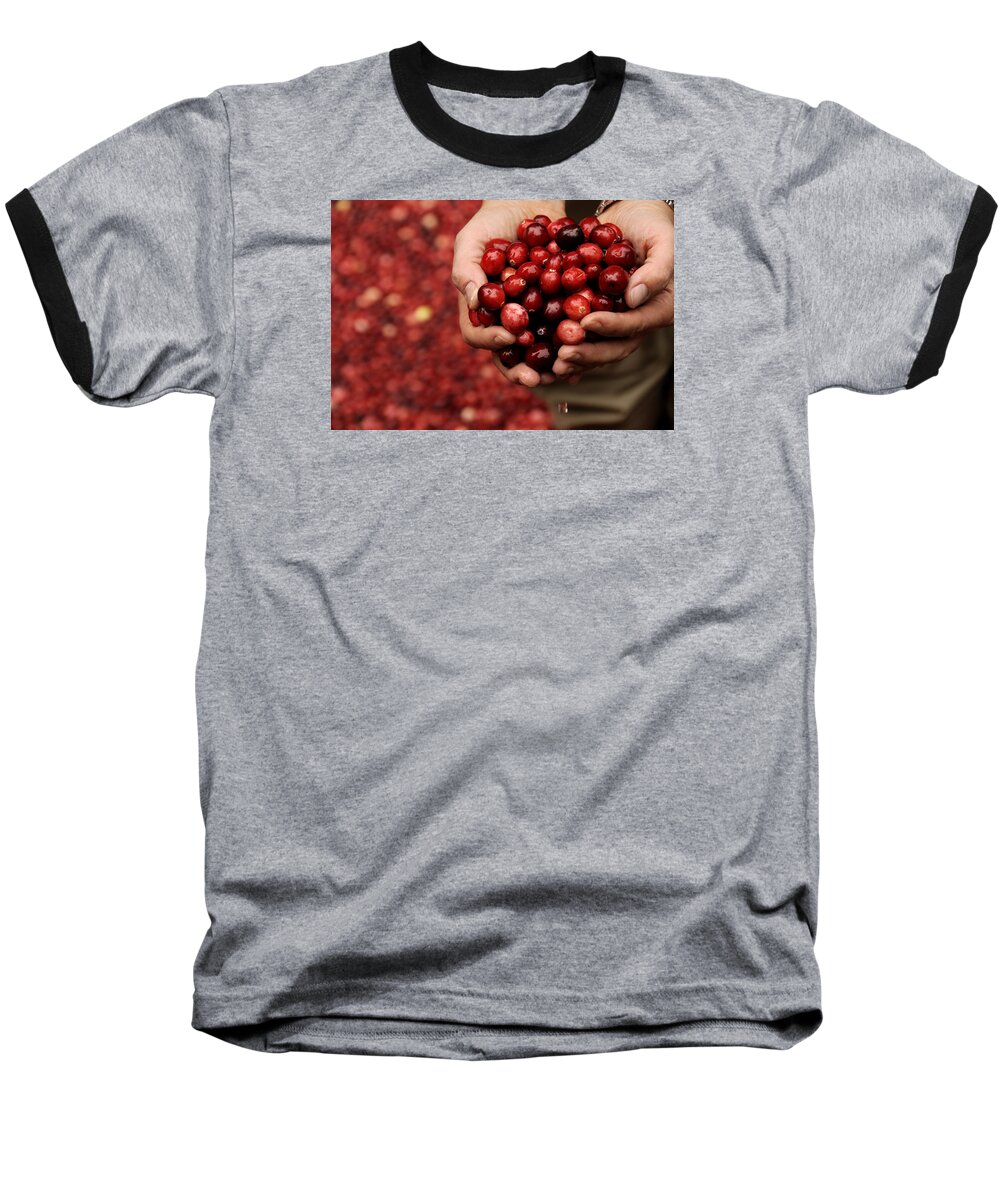 Abundance Baseball T-Shirt featuring the photograph Handful of Fresh Cranberries by Phil Cardamone