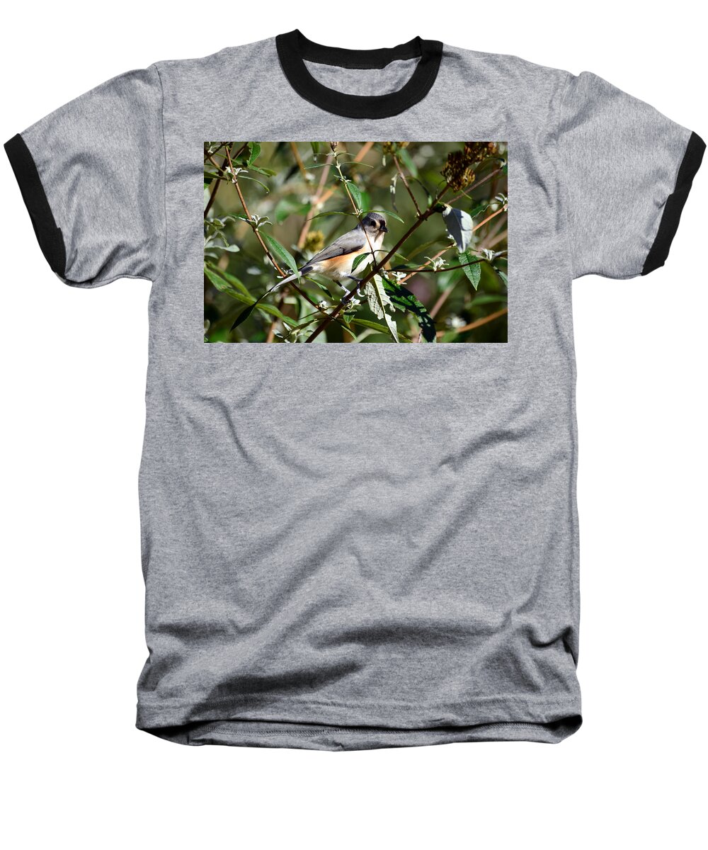 Bird Baseball T-Shirt featuring the photograph Happy As A Titmouse by Lori Tambakis
