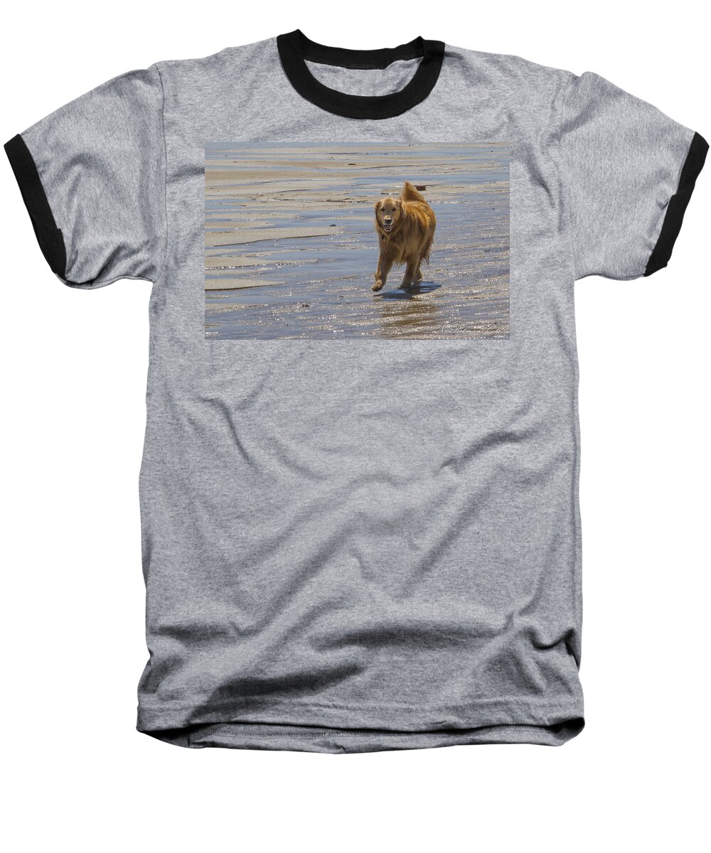 Golden Retriever Baseball T-Shirt featuring the photograph Happy Dog at Beach by Natalie Rotman Cote