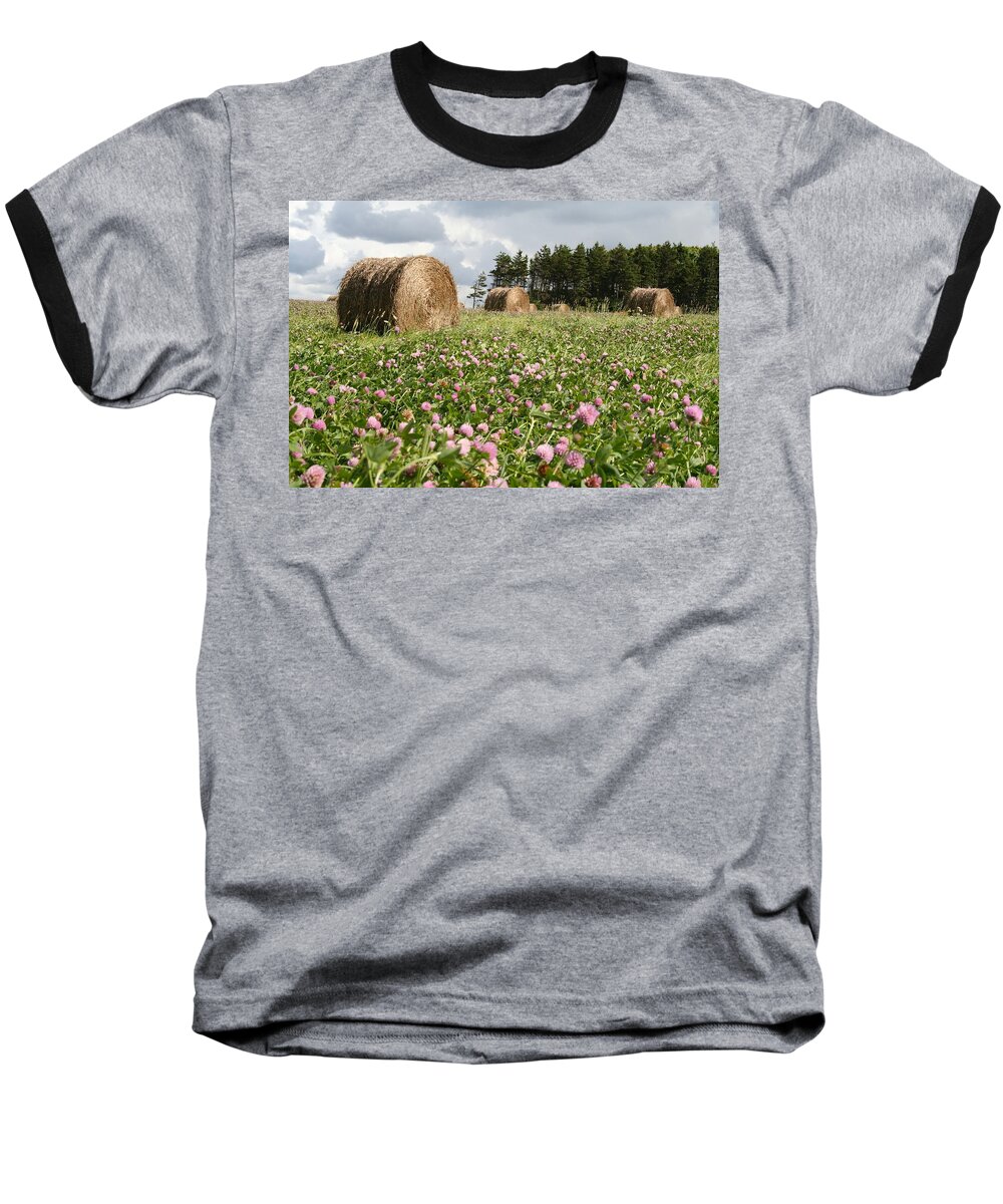 Clover Baseball T-Shirt featuring the photograph Hay field by Allan Morrison