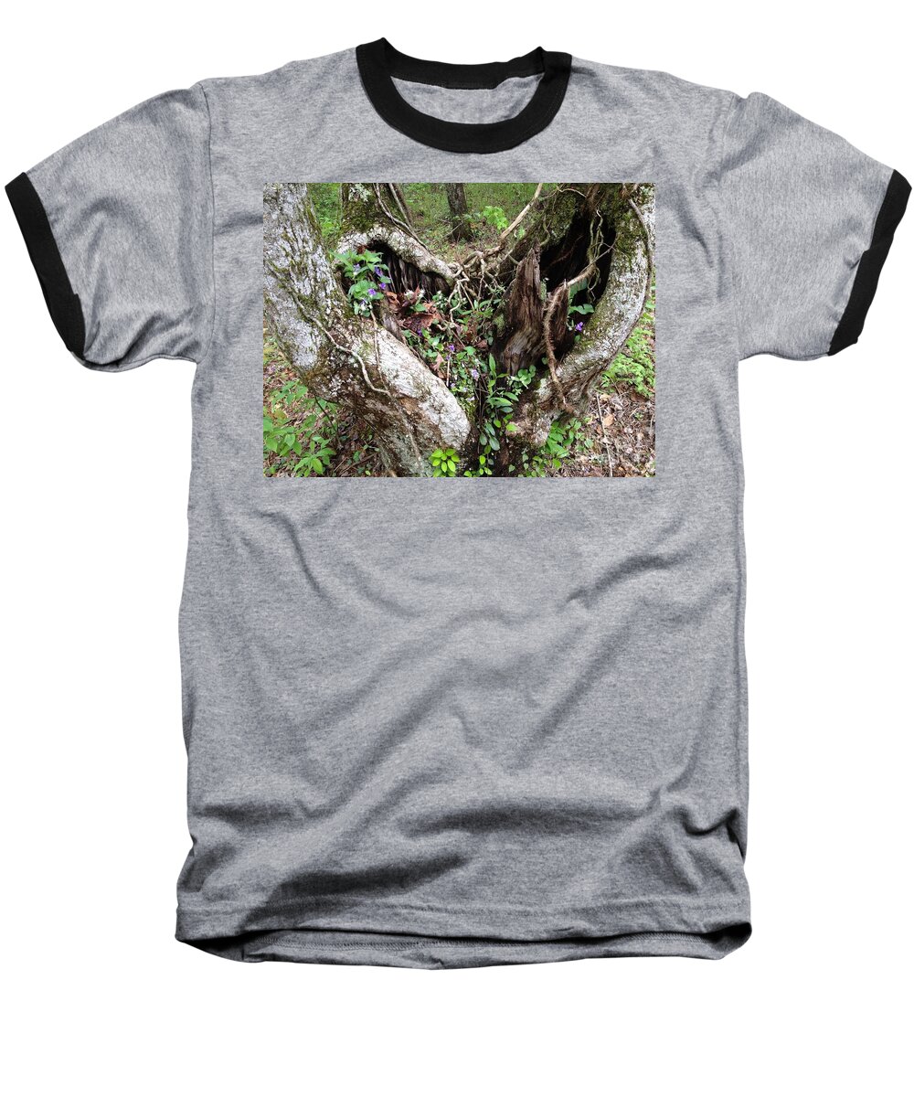 Trees Baseball T-Shirt featuring the photograph Heart-shaped Tree by Jan Dappen