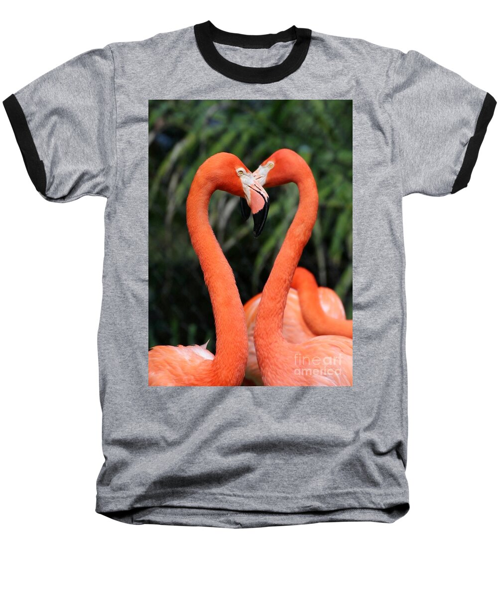 Flamingo Baseball T-Shirt featuring the photograph Heart to Heart Flamingo's by Sabrina L Ryan