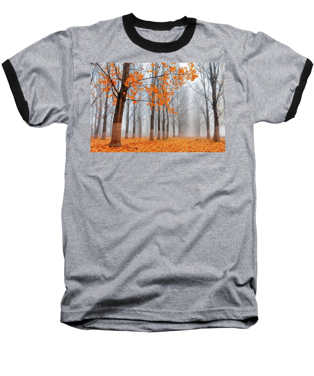 Bulgaria Baseball T-Shirt featuring the photograph Heralds Of Autumn by Evgeni Dinev