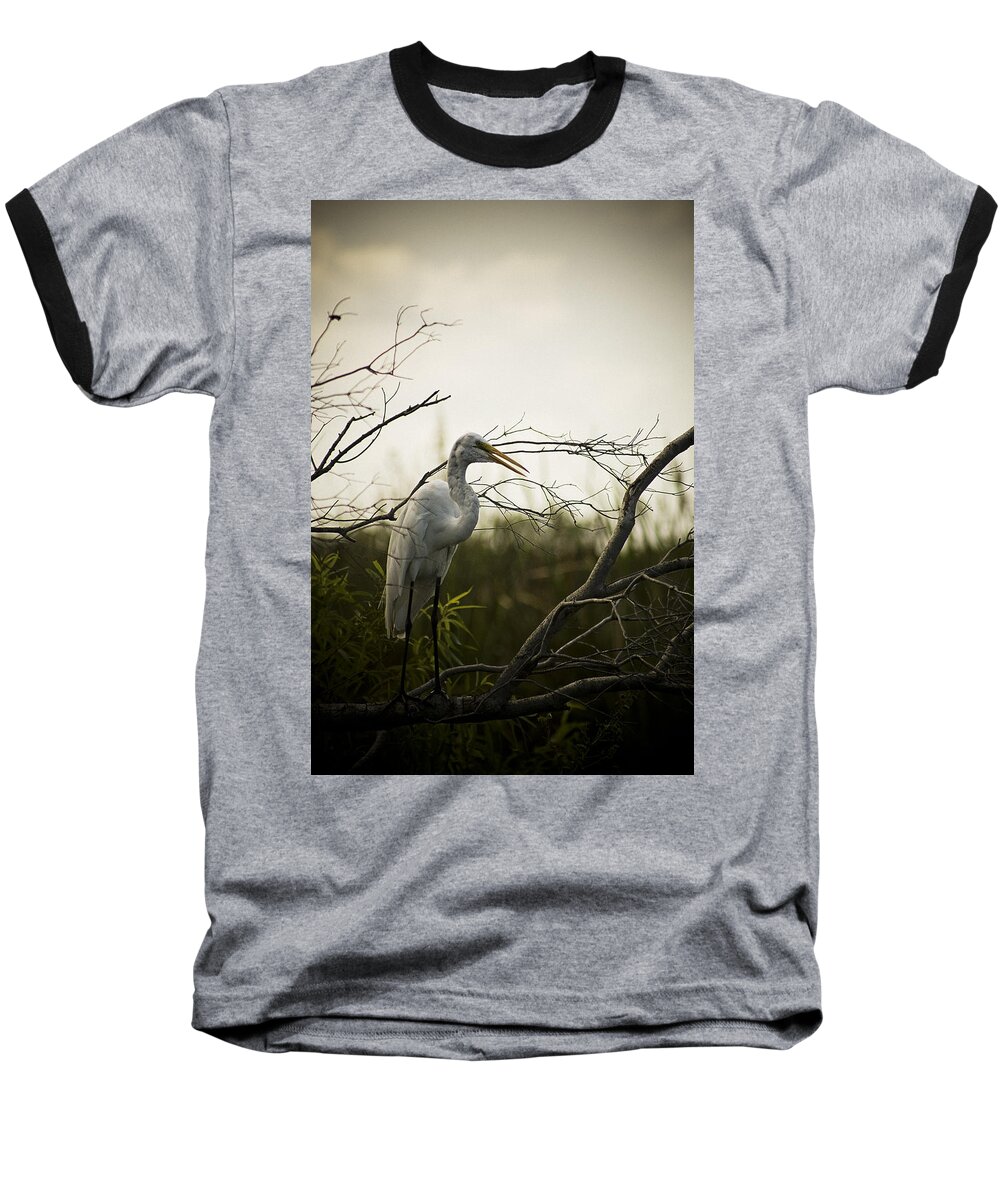 Egret Baseball T-Shirt featuring the photograph Heron At Dusk by Bradley R Youngberg