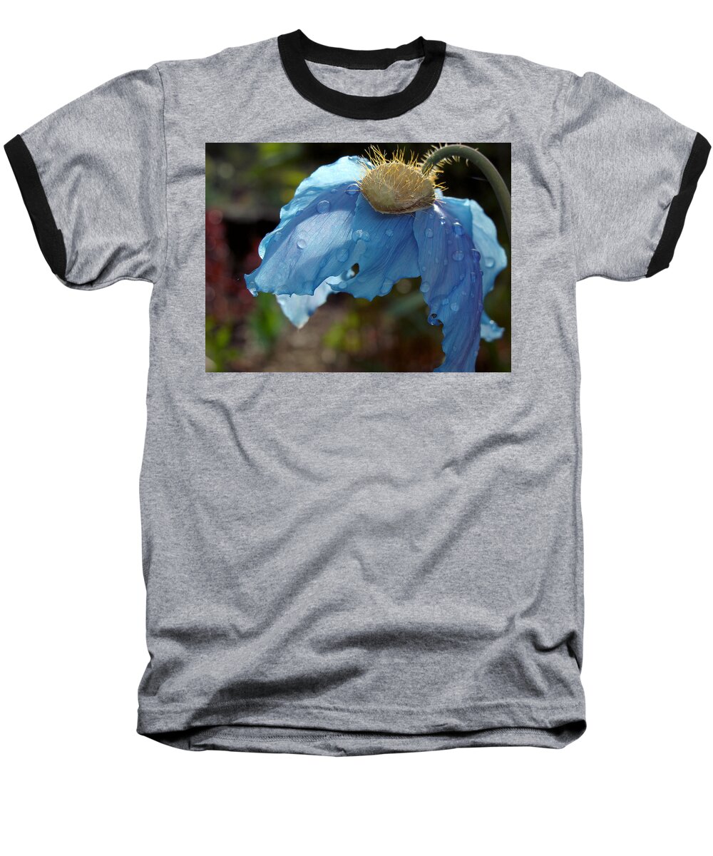 Himalayan Baseball T-Shirt featuring the photograph Blue Allure by Cheryl Hoyle
