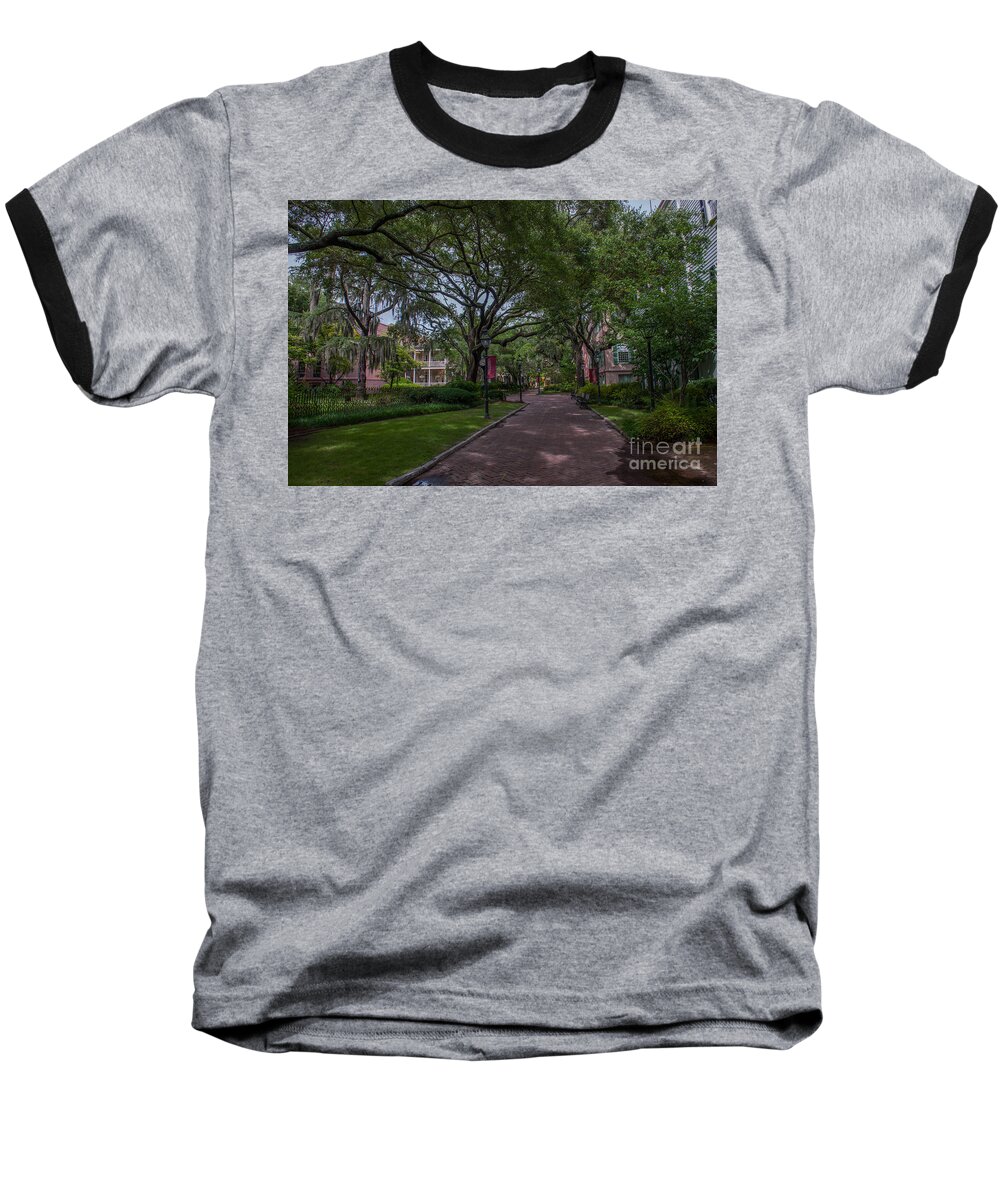 College Of Charleston Baseball T-Shirt featuring the photograph Historic Campus by Dale Powell