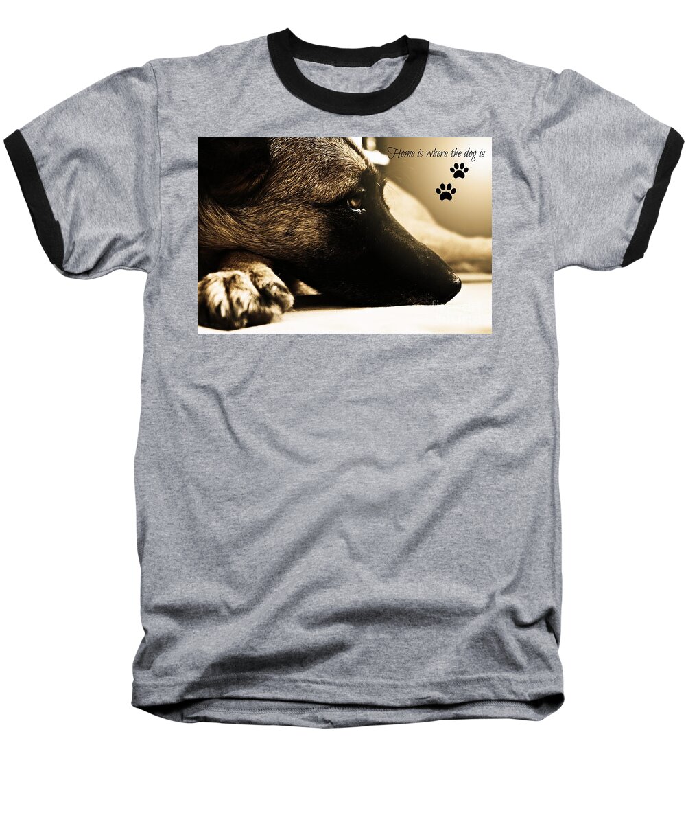 Dogs Baseball T-Shirt featuring the photograph Home is Where The Dog Is by Clare Bevan