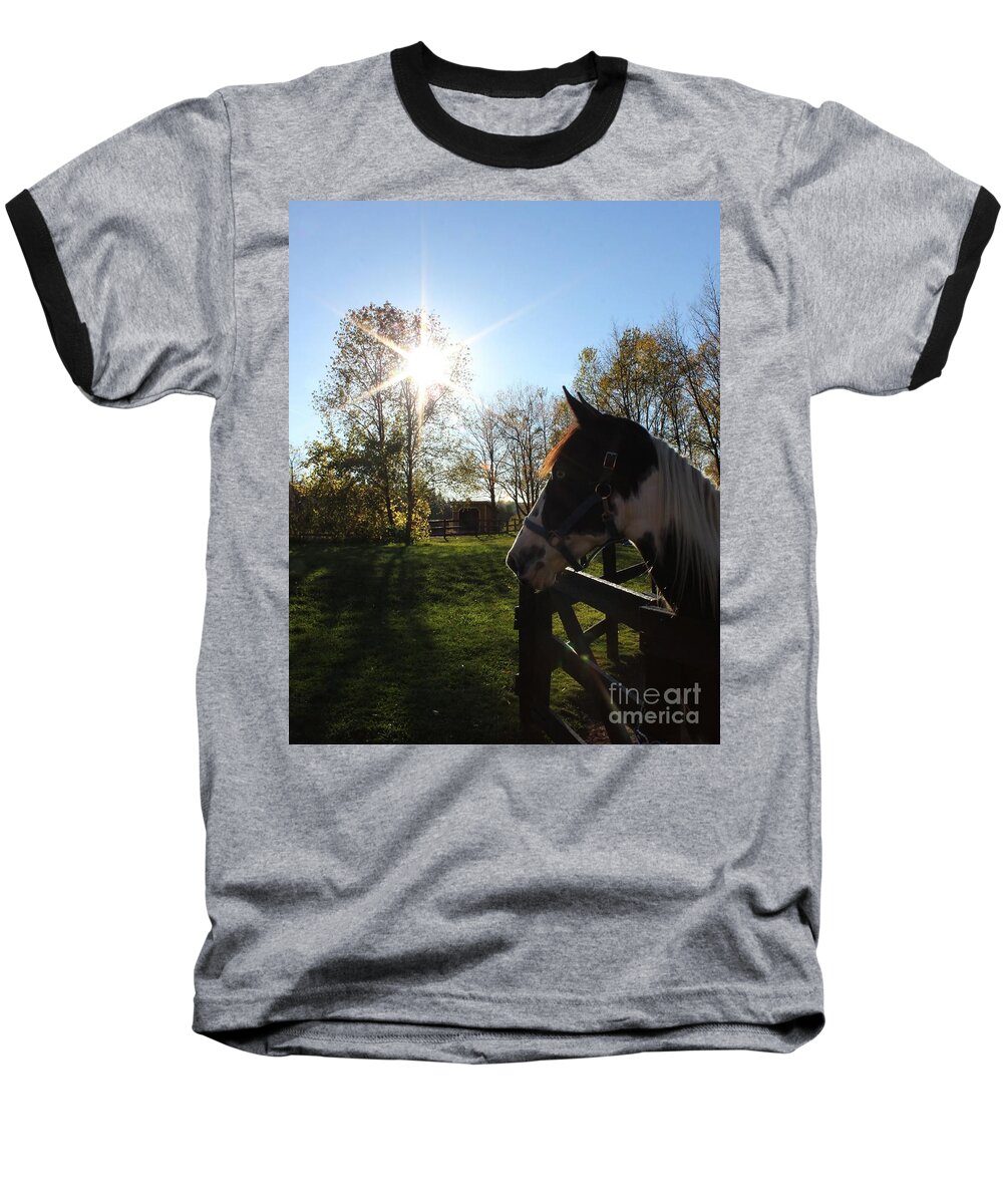 Horse Baseball T-Shirt featuring the photograph Horse with Sunburst by Janice Byer