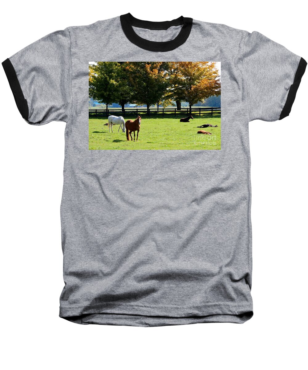 Horse Baseball T-Shirt featuring the photograph Horses in Fall by Janice Byer