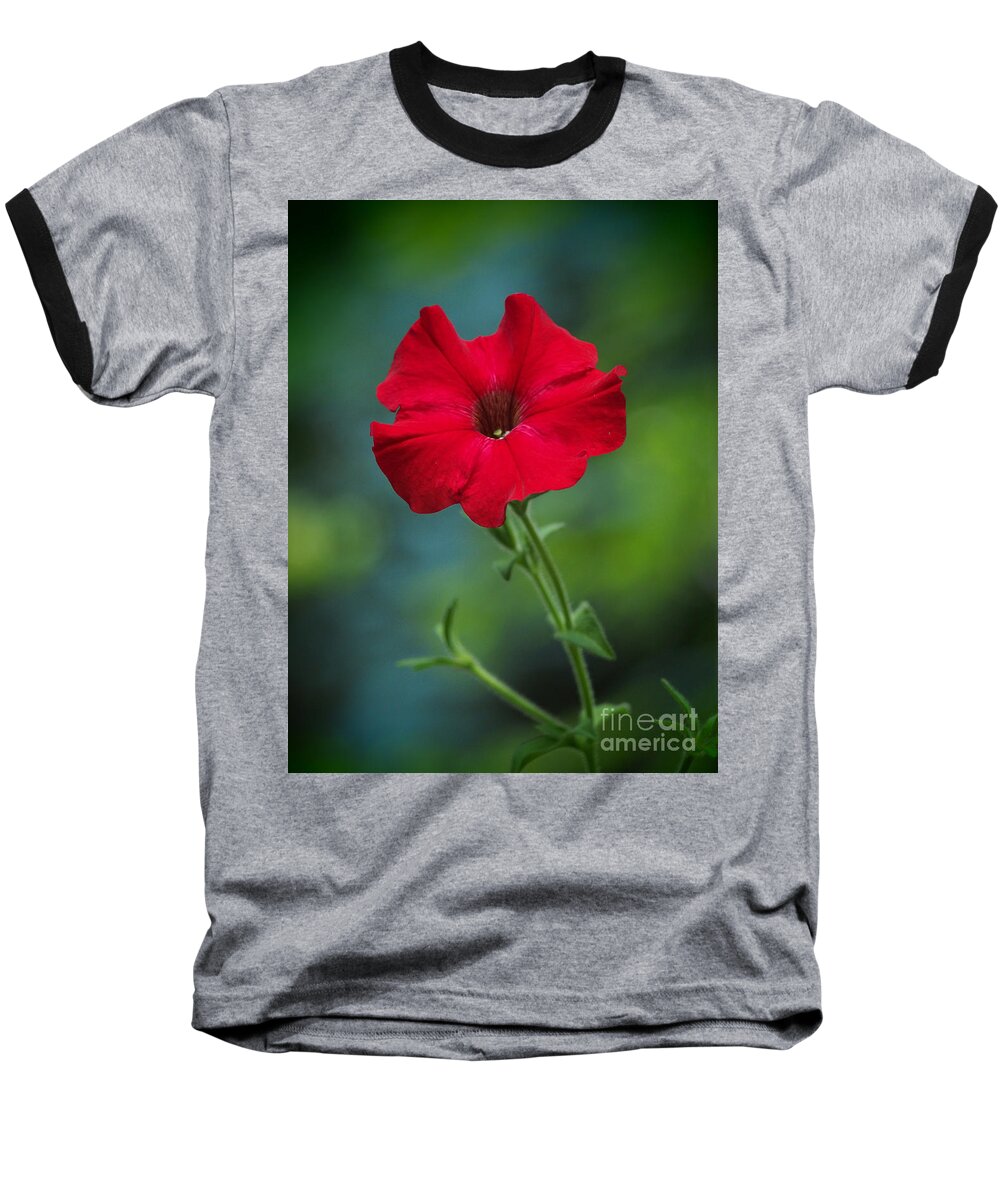 Flowers Baseball T-Shirt featuring the photograph Hot Petunia In The Cool Shadows by Dorothy Lee