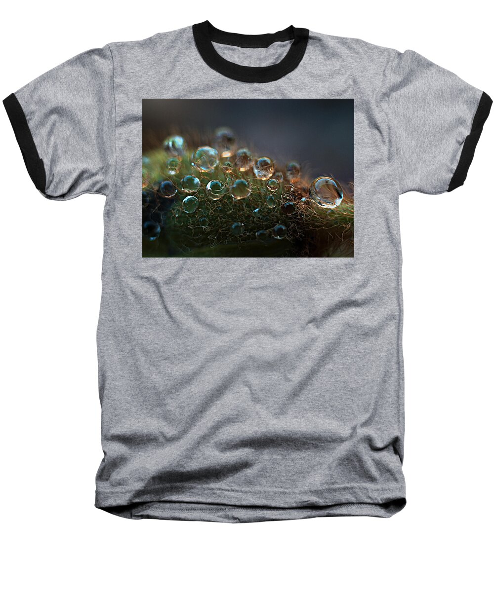 Dew Baseball T-Shirt featuring the photograph How Bizzahh by Joe Schofield