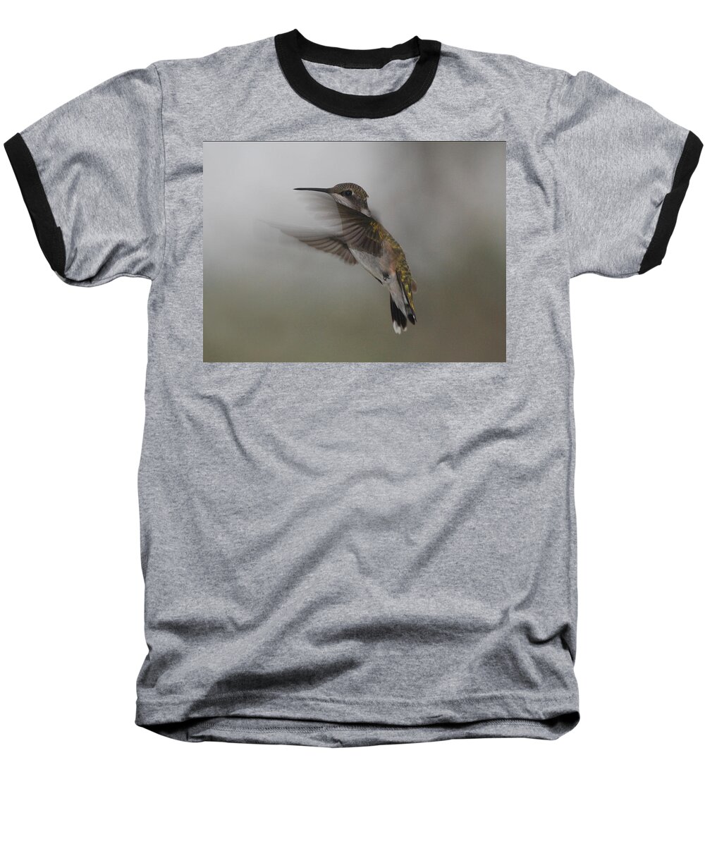 Ruby Baseball T-Shirt featuring the photograph Hummingbird 6 by Leticia Latocki