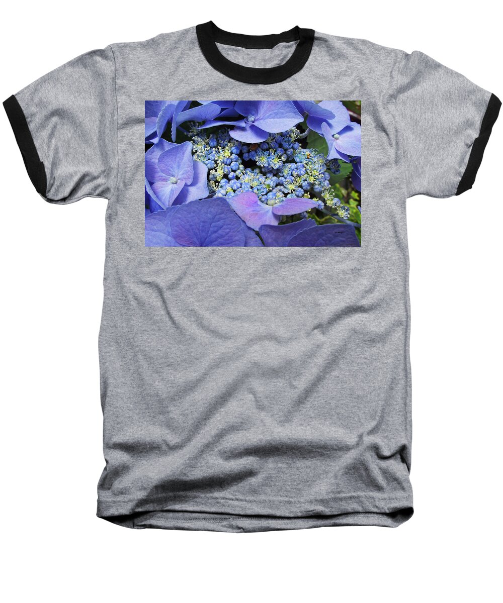 Plants Baseball T-Shirt featuring the photograph Hydrangea Blossom by Duane McCullough