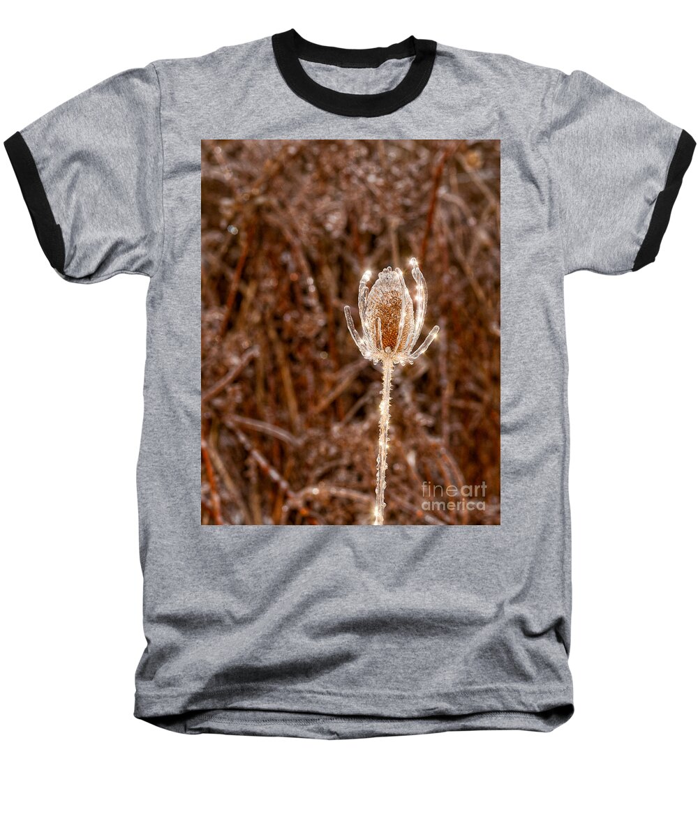 Thistle Baseball T-Shirt featuring the photograph Icy Thistle by Les Palenik