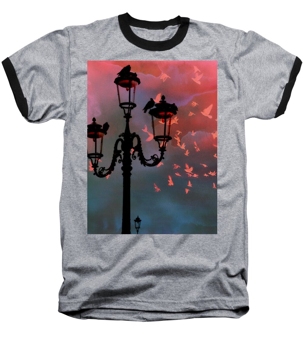 Venice Baseball T-Shirt featuring the photograph Il Volo by Micki Findlay