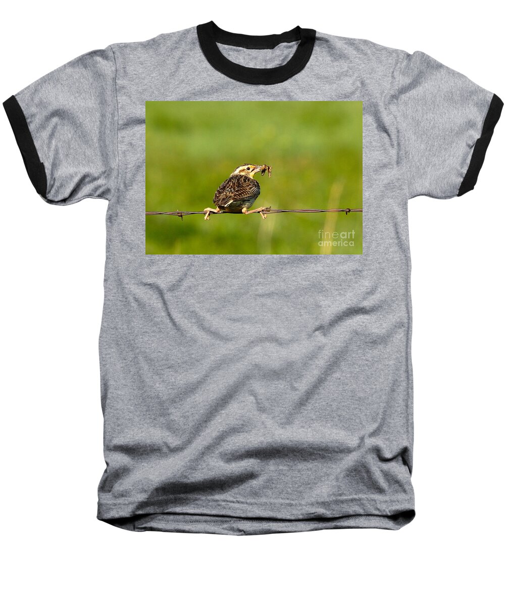 Nature Baseball T-Shirt featuring the photograph I'm not letting go by Steven Reed