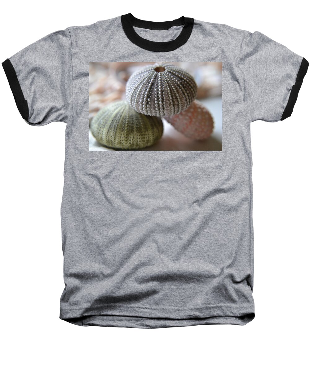 Seashells Baseball T-Shirt featuring the photograph Imagination by Melanie Moraga