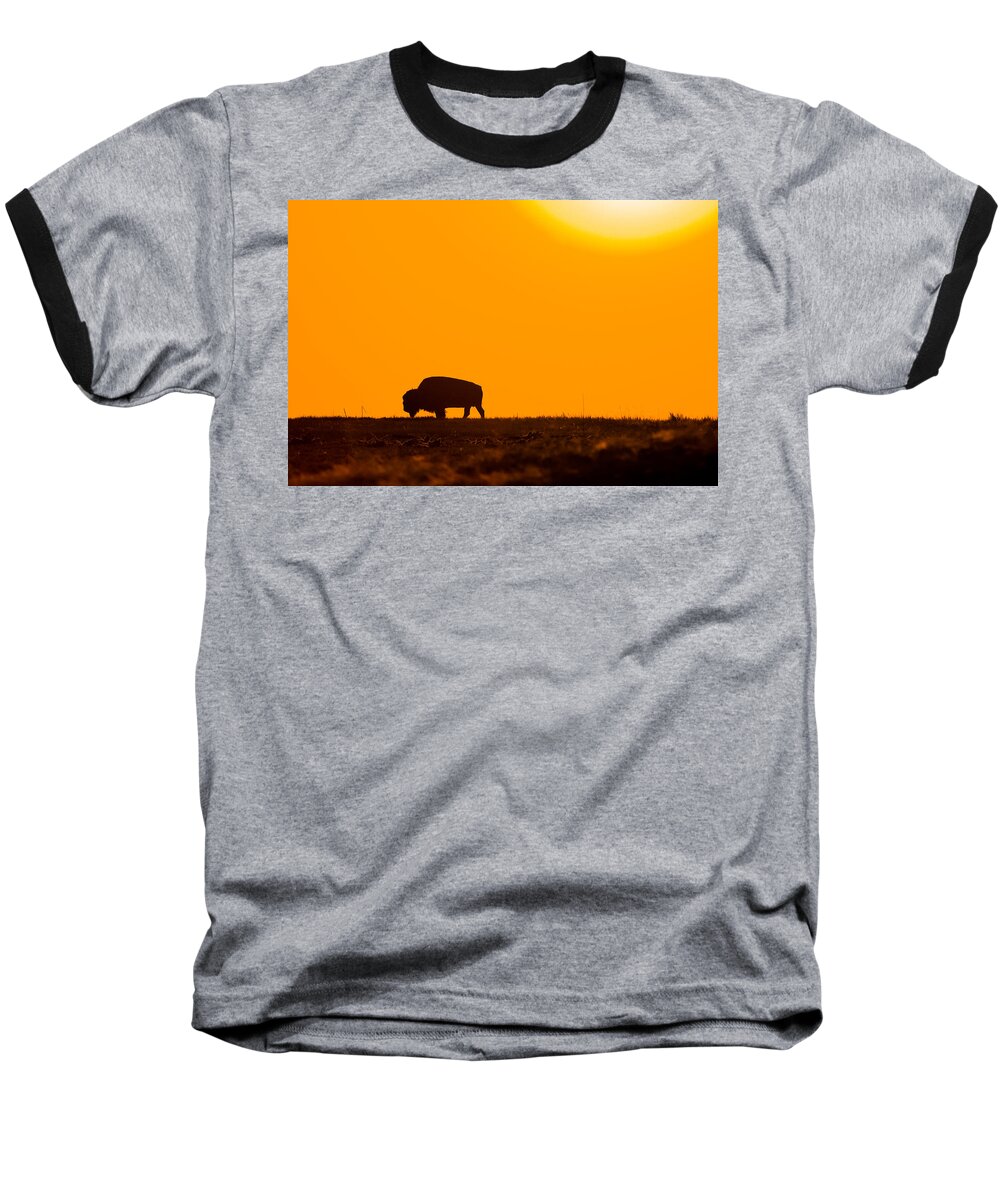 Bison Baseball T-Shirt featuring the photograph Into The Night by Donald J Gray
