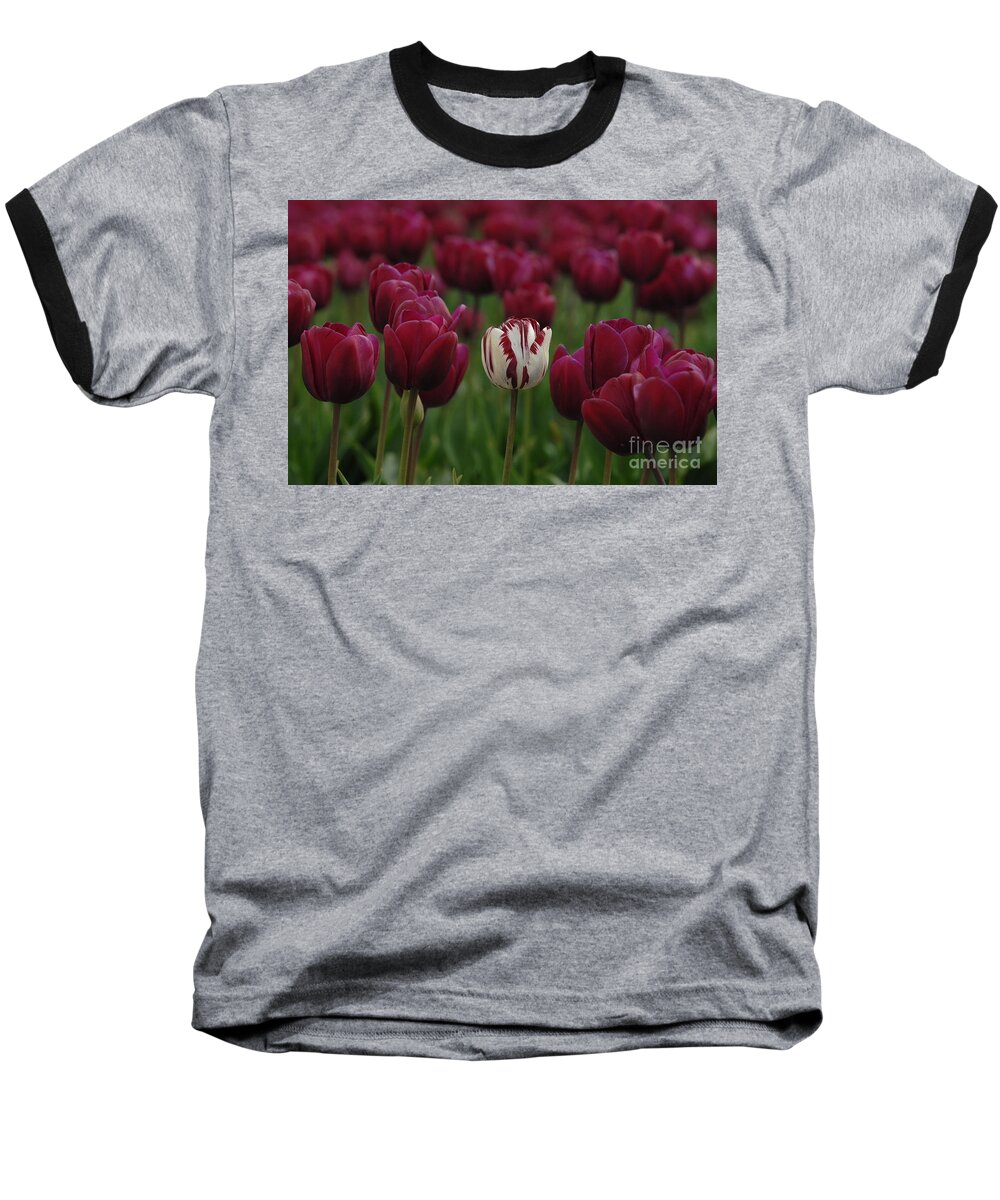 Tulips Baseball T-Shirt featuring the photograph It Is Beautiful Being Different by Bob Christopher