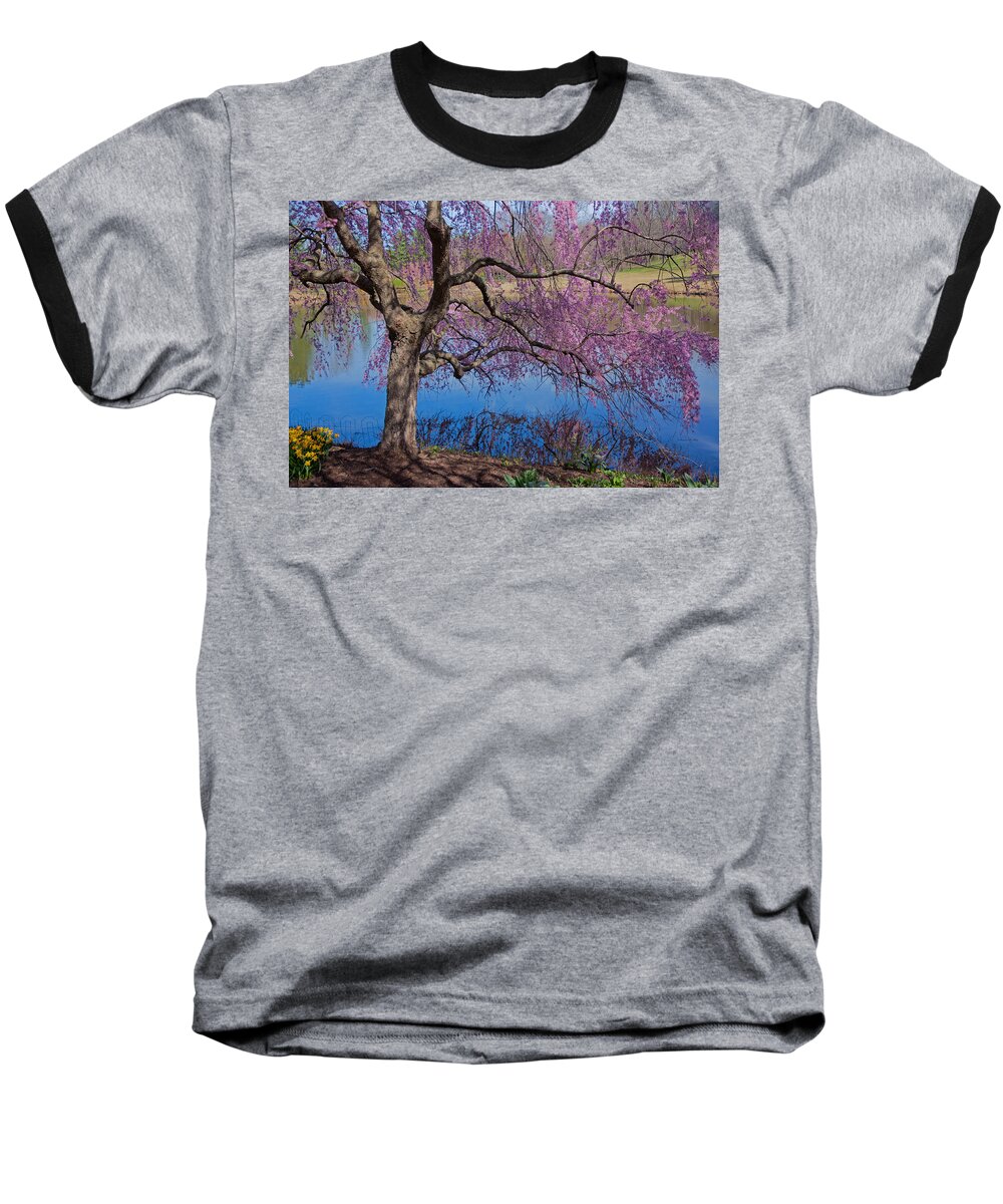 Meadowlark Botanical Gardens Baseball T-Shirt featuring the photograph Japanese Weeping Cherry by Suzanne Stout
