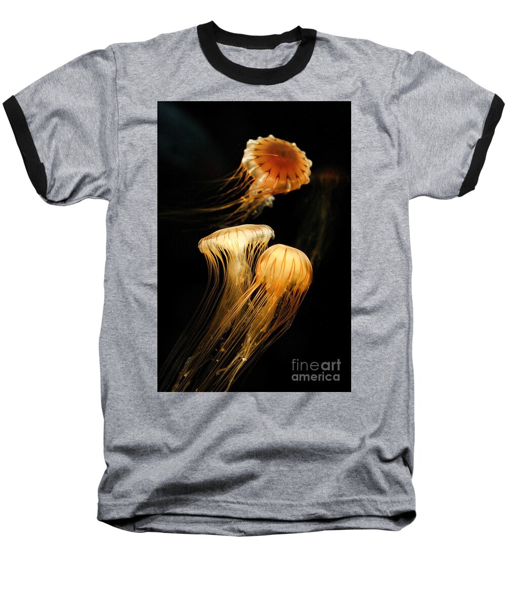Coastal Baseball T-Shirt featuring the photograph Jellyfish Trio Floating Against a Black by Angela Rath