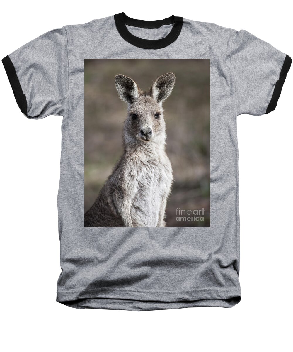 Australia Baseball T-Shirt featuring the photograph Kangaroo by Steven Ralser