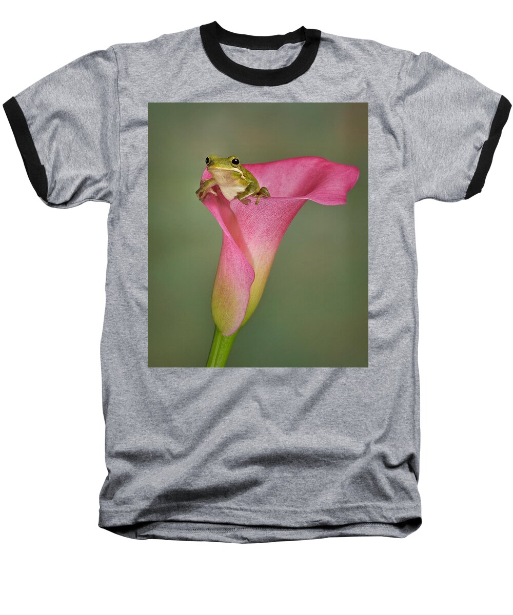 Calla Baseball T-Shirt featuring the photograph Kermit Peeking Out by Susan Candelario