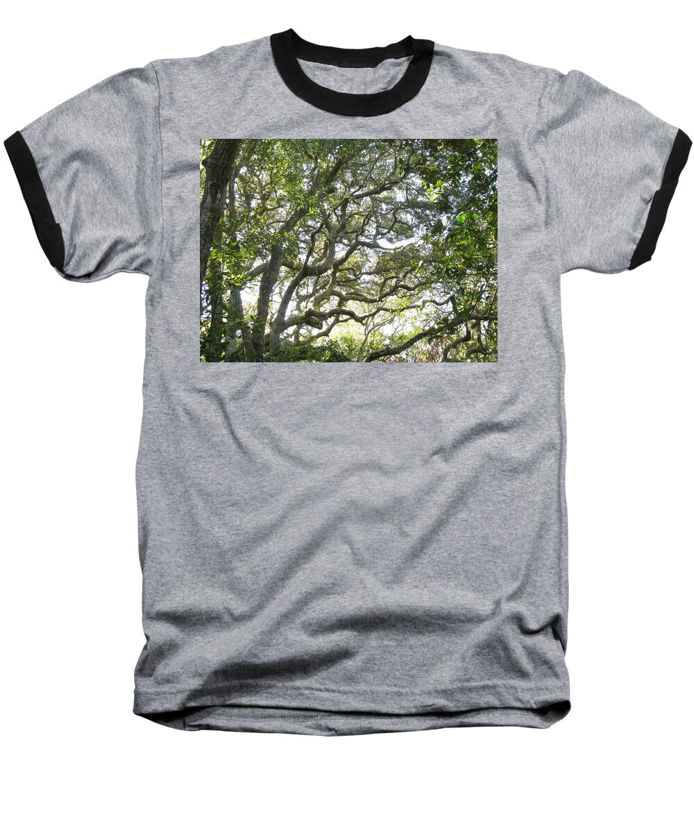 Landscape Baseball T-Shirt featuring the photograph Knarly Oak by Ellen Meakin