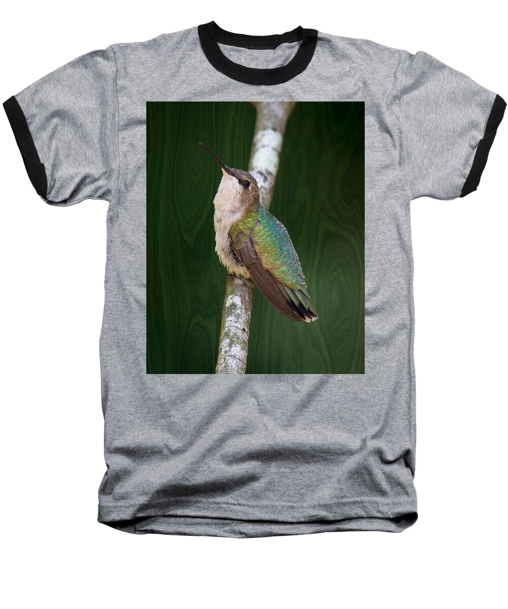 Ruby Throat Hummingbird Baseball T-Shirt featuring the photograph Knock on wood for a pretty hummer by Robert L Jackson