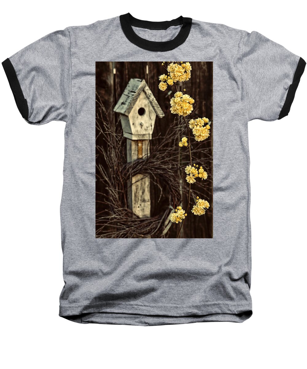 Garden Art Baseball T-Shirt featuring the photograph Lady Banks Roses by Caitlyn Grasso
