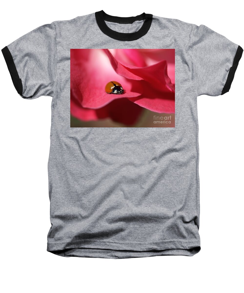 Ladybug Baseball T-Shirt featuring the photograph Ladybug by Jacklyn Duryea Fraizer